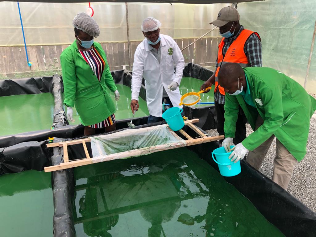 This image for Image Layouts addon